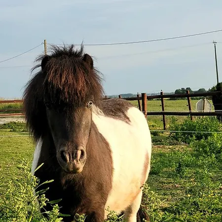 ベッド・アンド・ブレックファスト La Cense Du Noir Jambon Silly